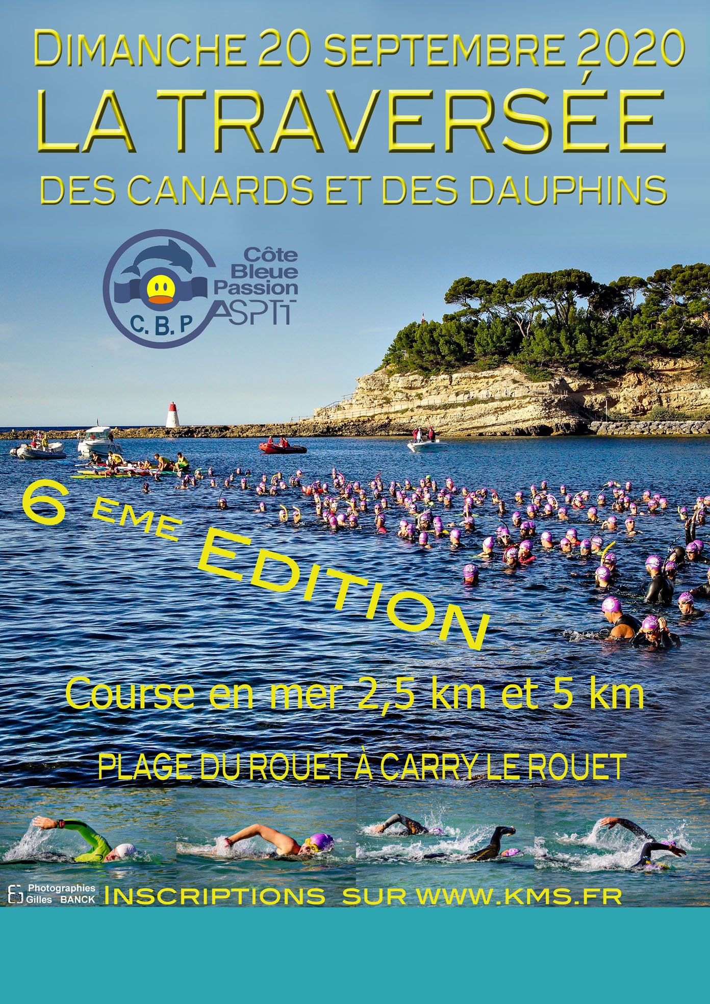 La traversee des dauphins et des canards : image